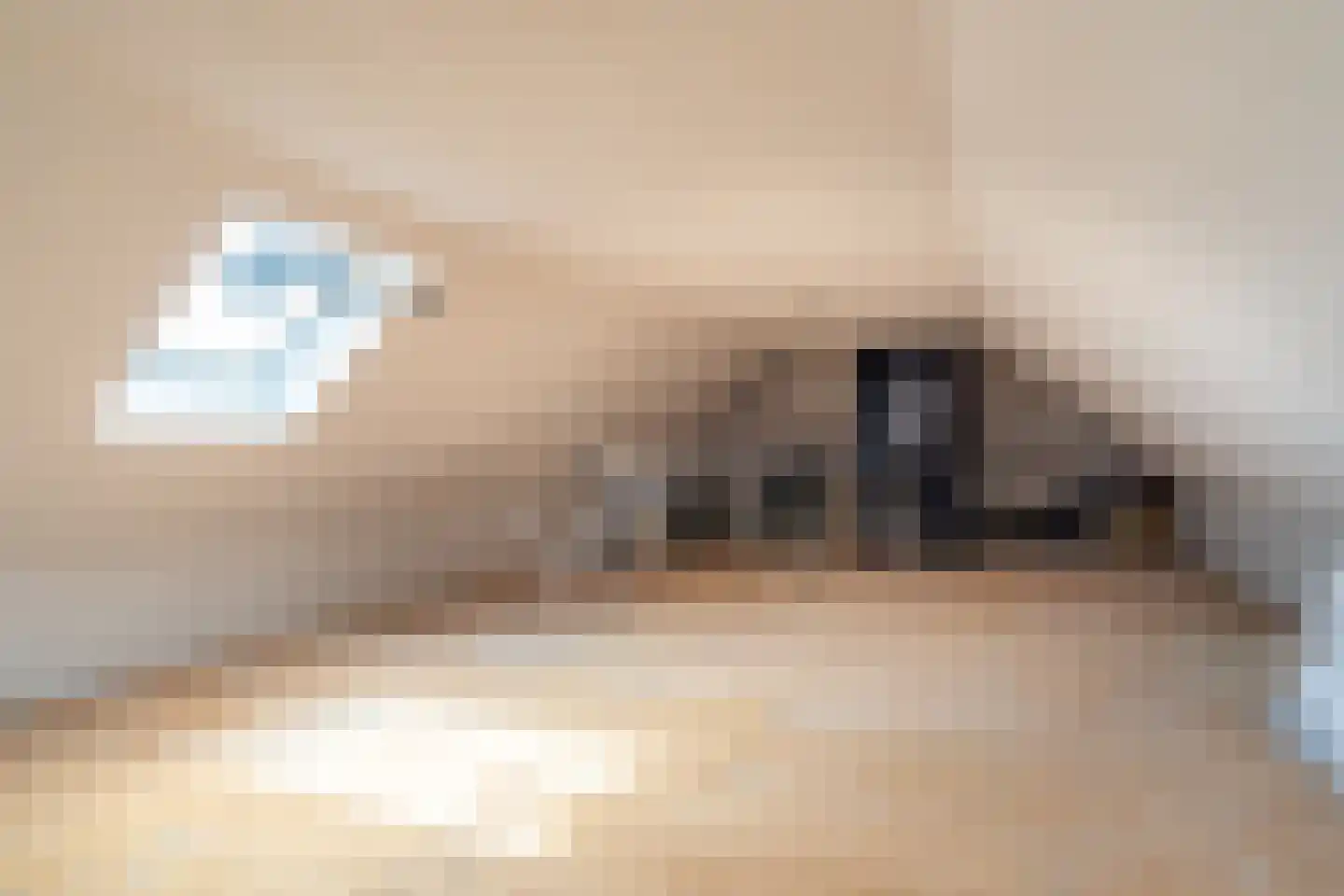 Veenakkers 58 Gieterveen thumbnail 62