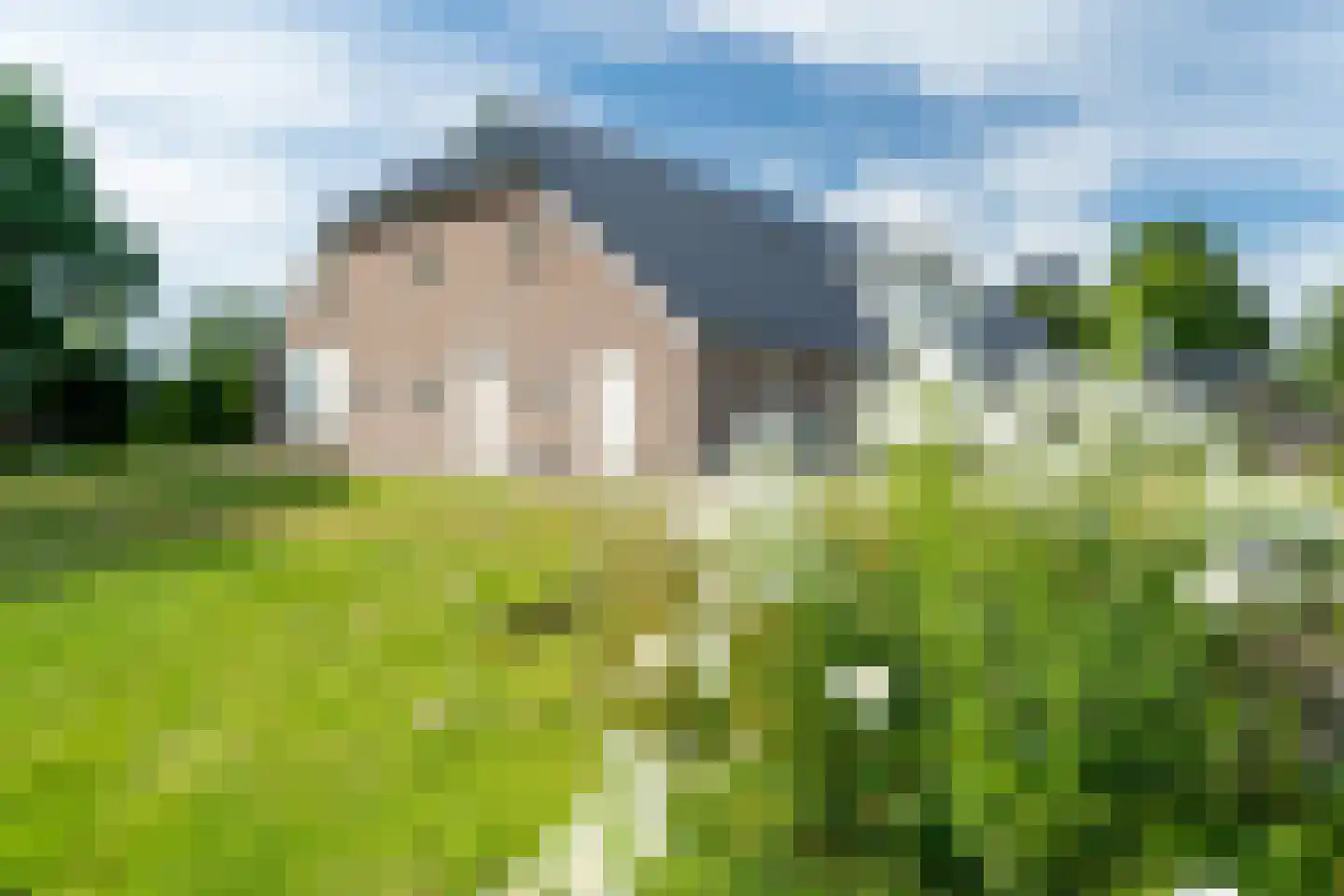 Veenakkers 58 Gieterveen thumbnail 65