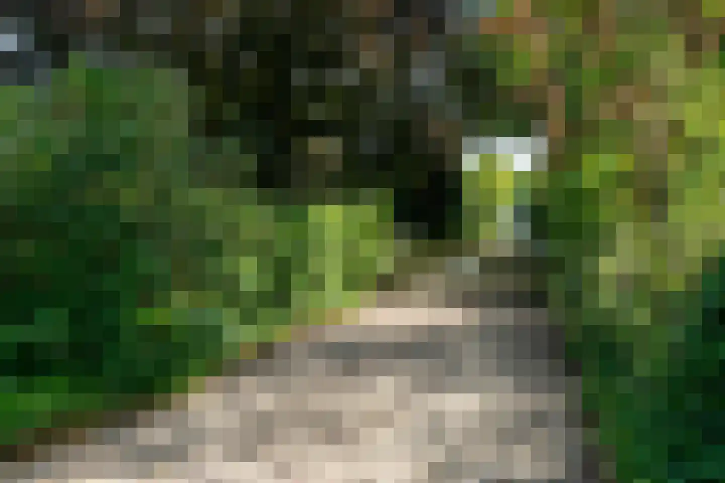 Veenakkers 58 Gieterveen thumbnail 67