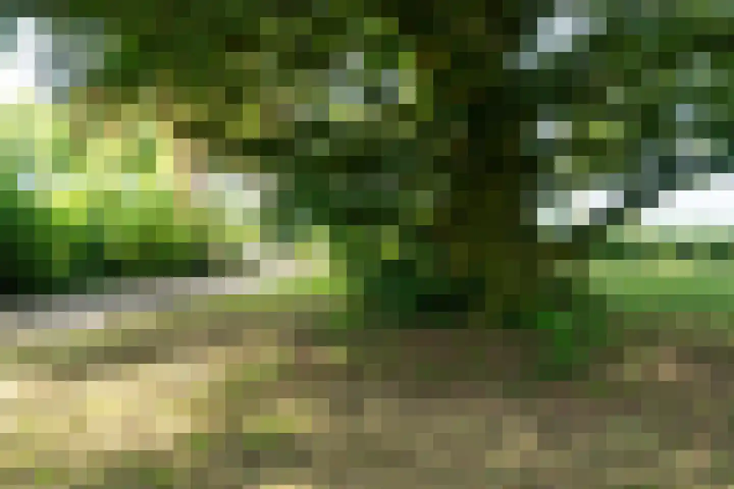 Veenakkers 58 Gieterveen thumbnail 68