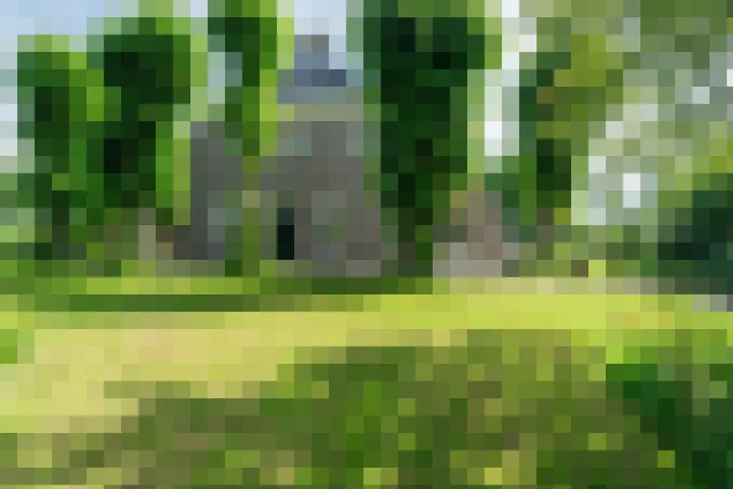 Veenakkers 58 Gieterveen thumbnail 69