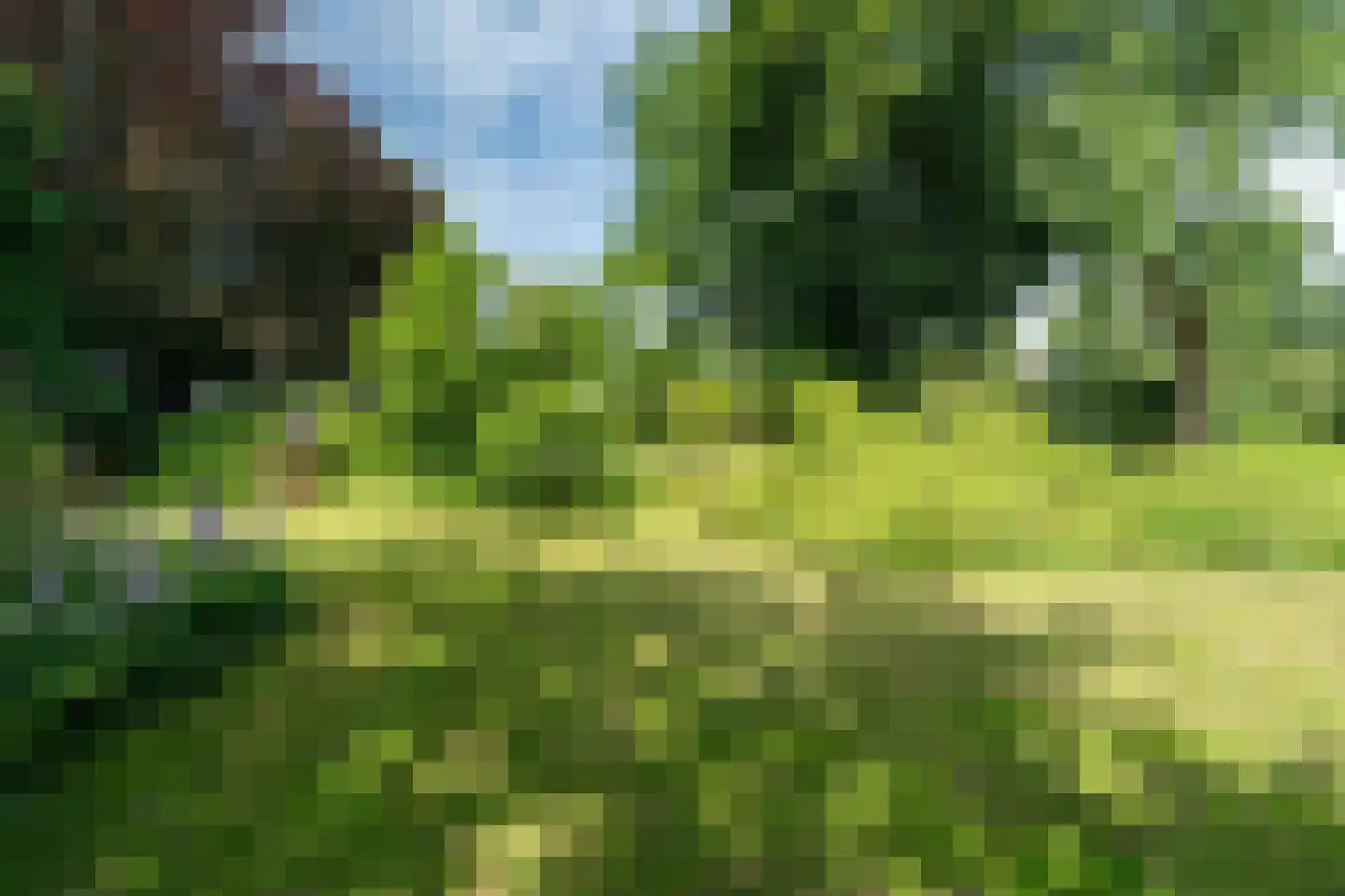Veenakkers 58 Gieterveen thumbnail 70