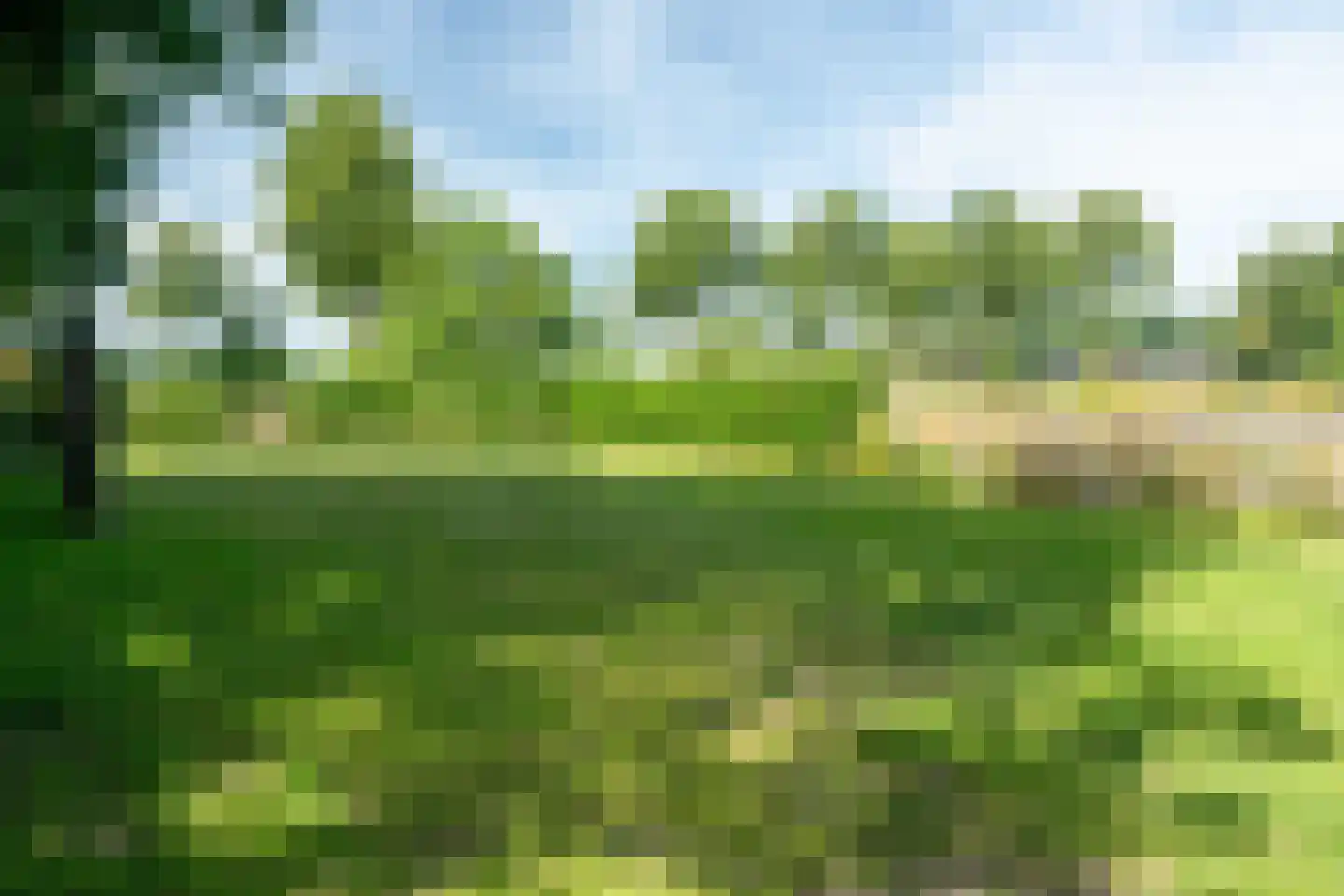 Veenakkers 58 Gieterveen thumbnail 71