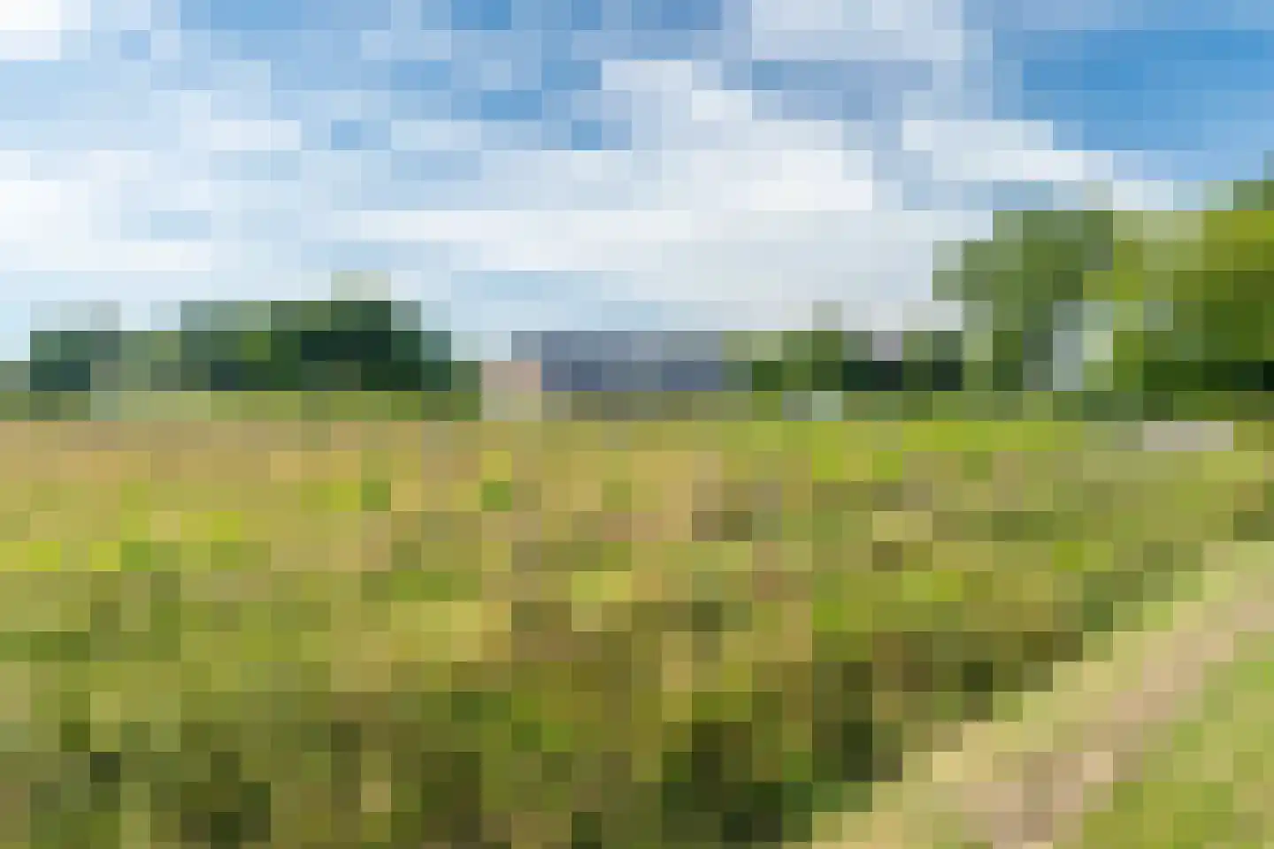 Veenakkers 58 Gieterveen thumbnail 76