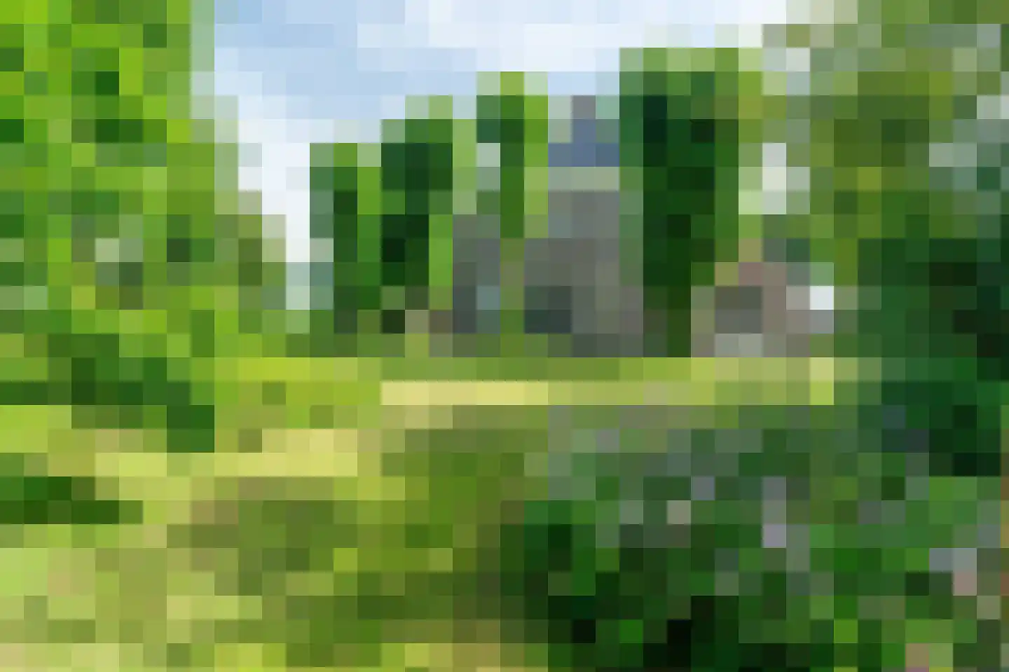 Veenakkers 58 Gieterveen thumbnail 8