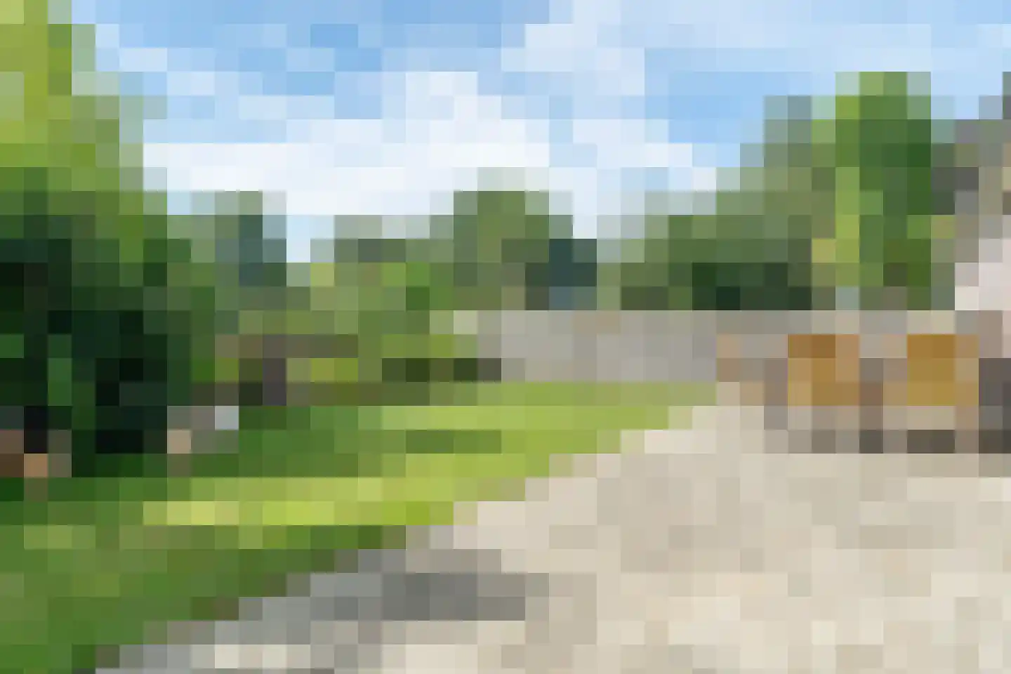 Veenakkers 58 Gieterveen thumbnail 87
