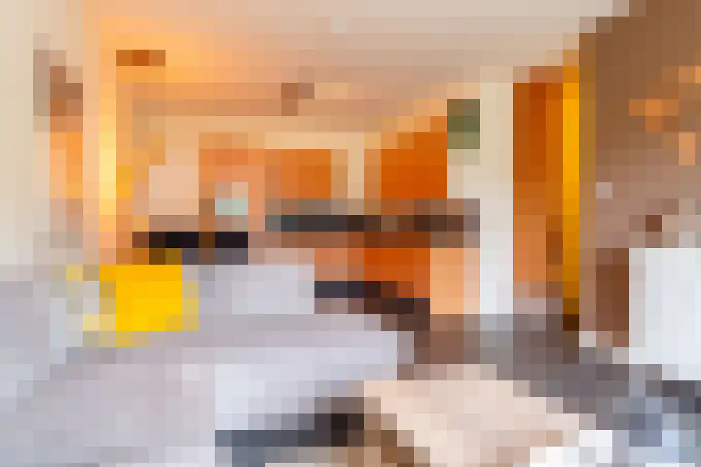 Veenakkers 58 Gieterveen thumbnail 91