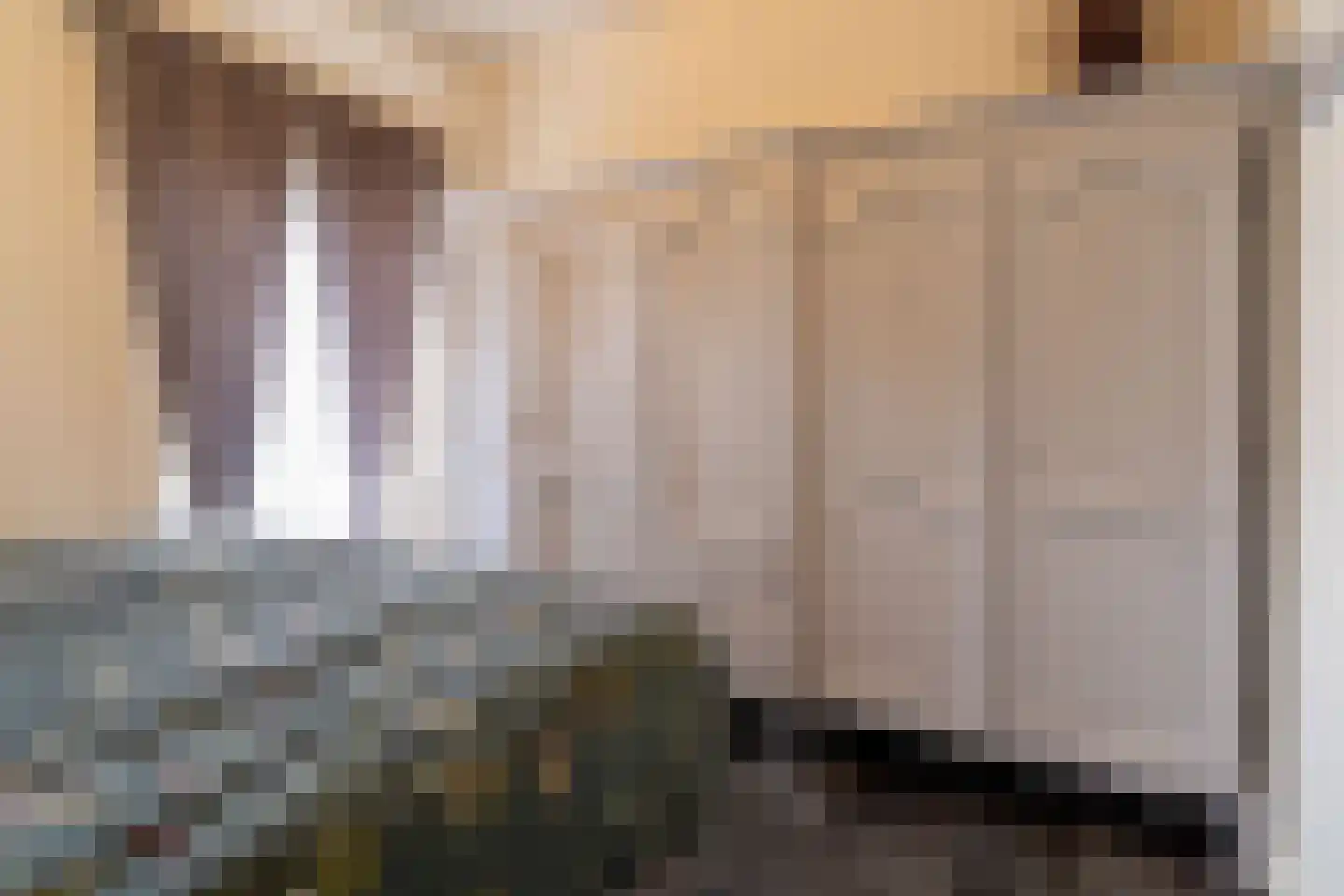 Veenakkers 58 Gieterveen thumbnail 97