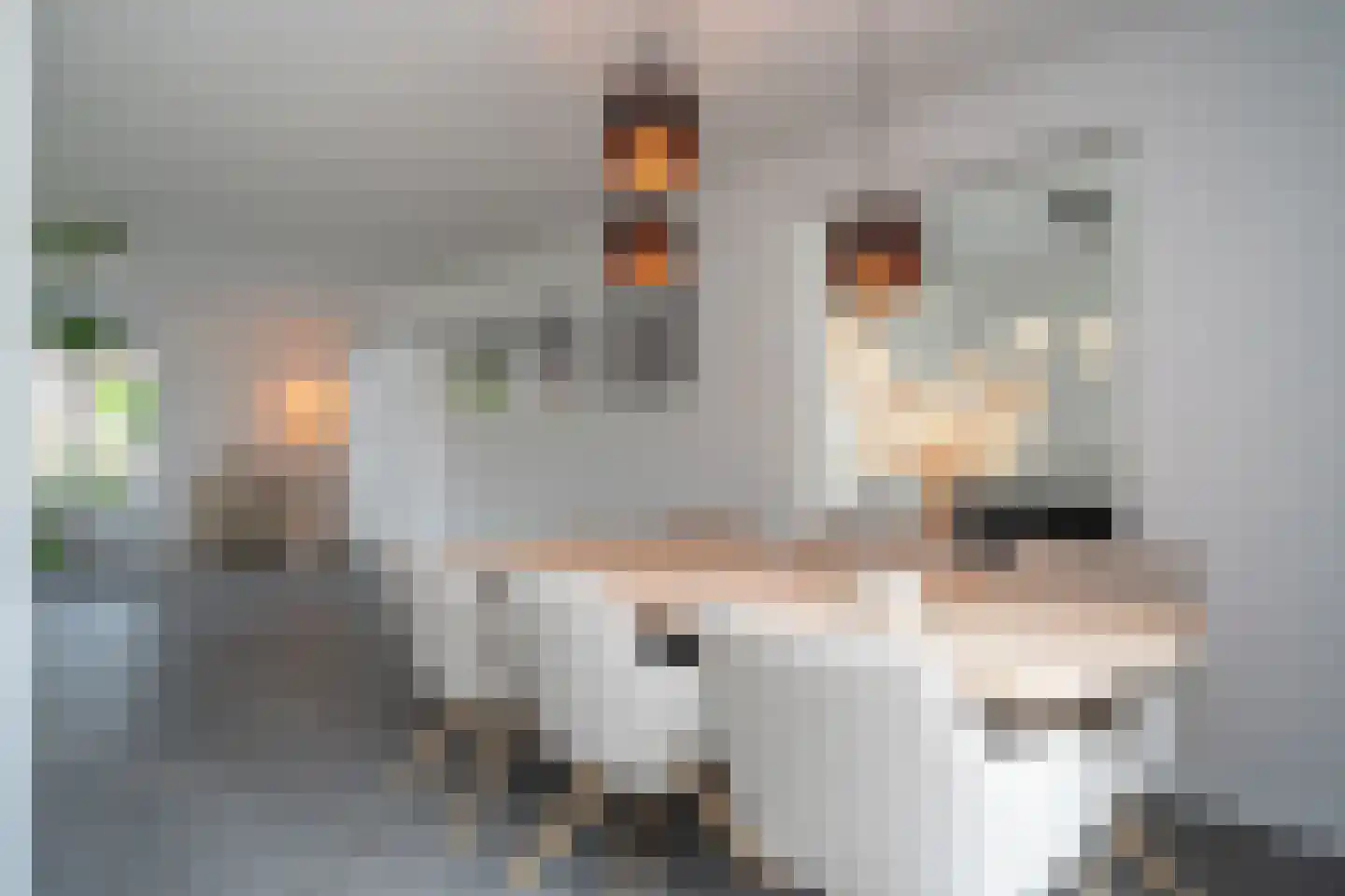Veenakkers 6 Sibculo thumbnail 14