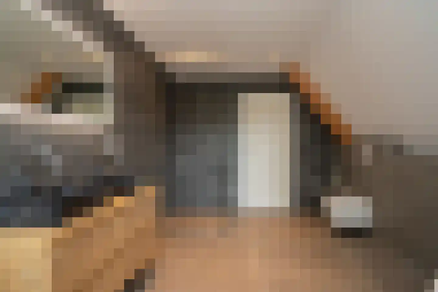 Veenakkers 6 Sibculo thumbnail 26
