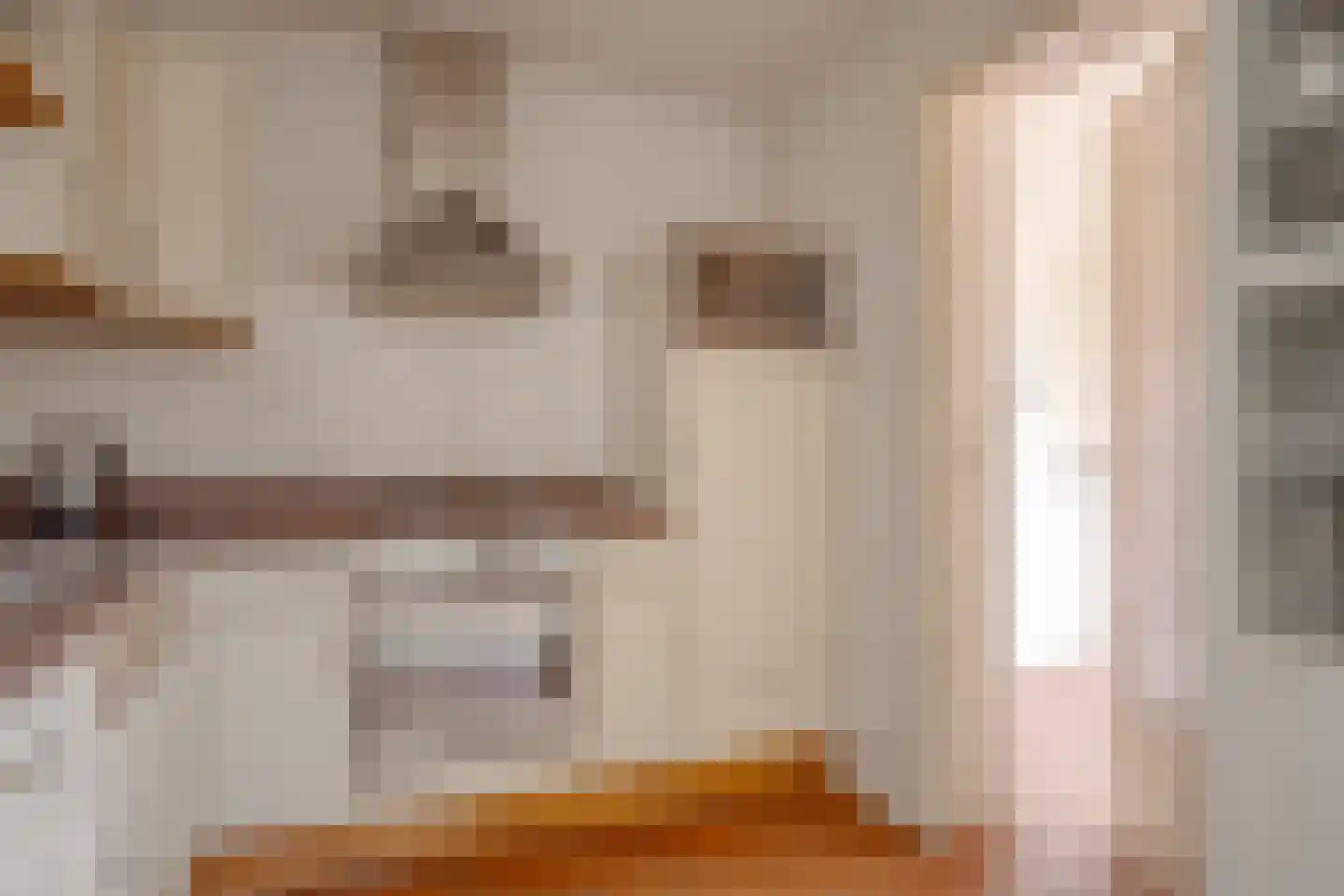 Veenakkers 8 b Gieterveen thumbnail 22