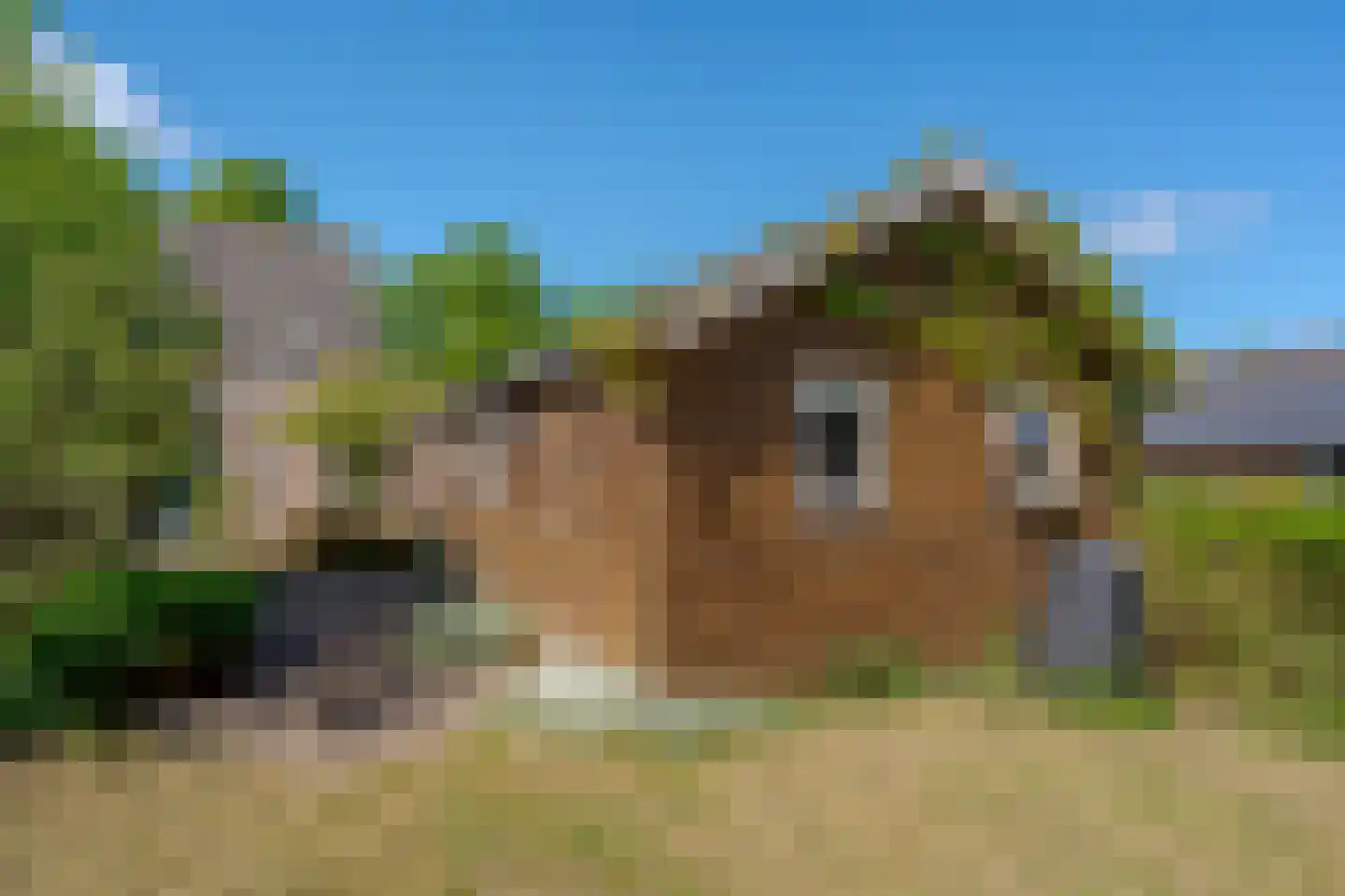 Veenakkers 8 b Gieterveen thumbnail 31