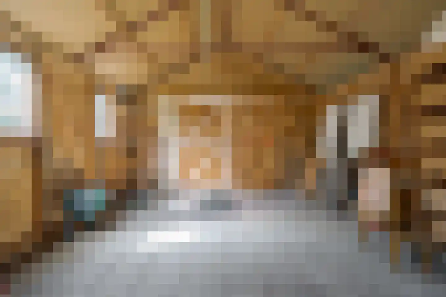 Veenakkers 8 b Gieterveen thumbnail 32