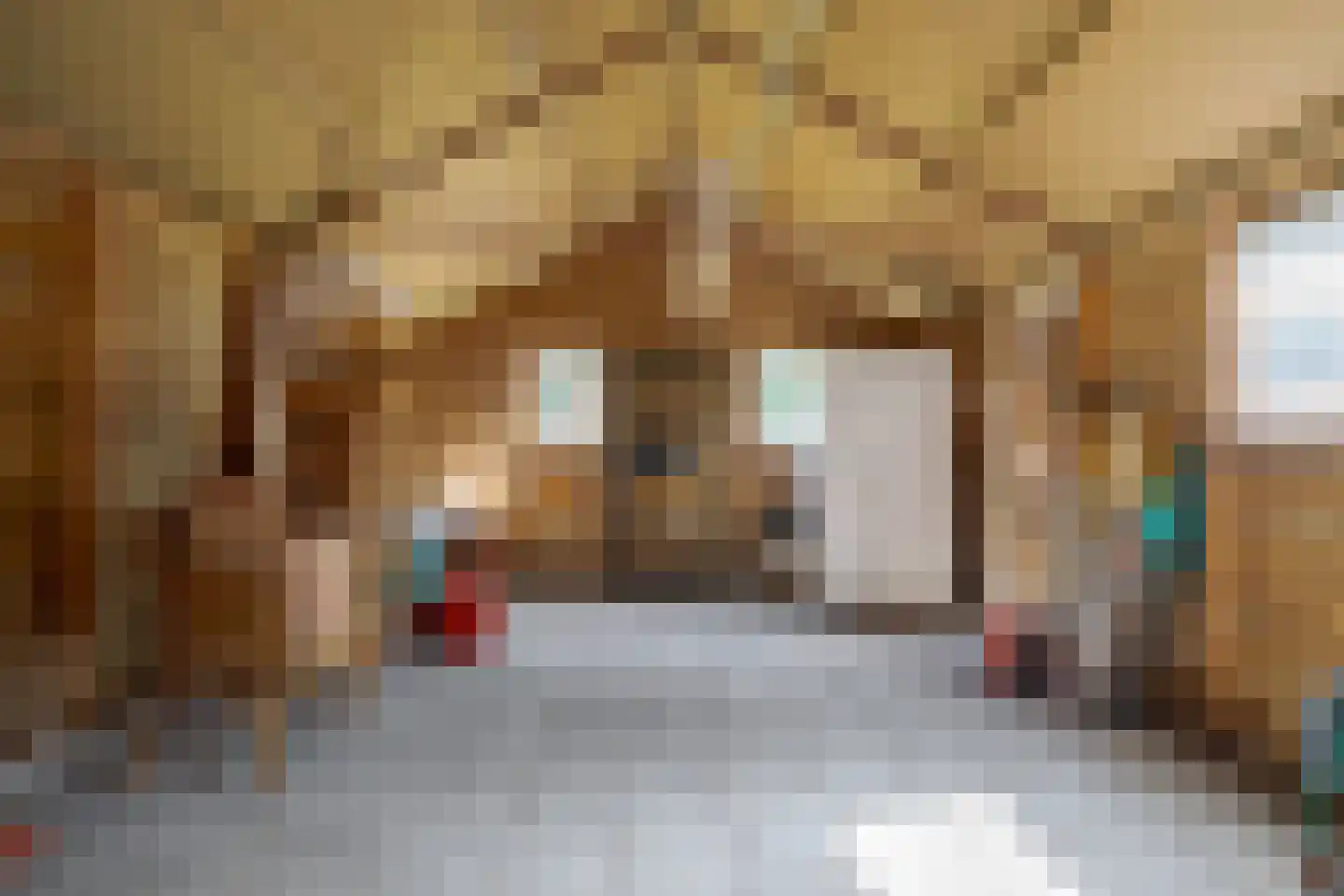 Veenakkers 8 b Gieterveen thumbnail 33