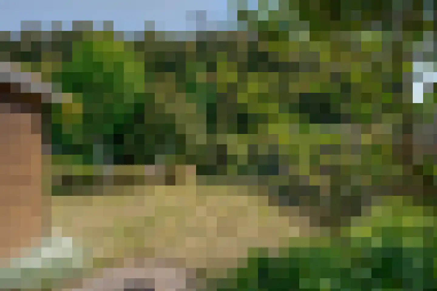 Veenakkers 8 b Gieterveen thumbnail 34