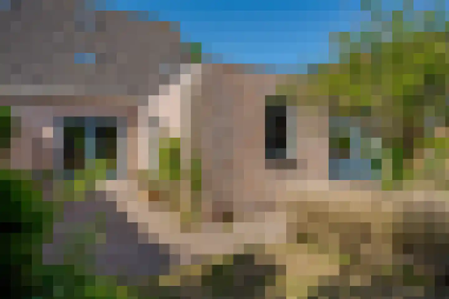 Veenakkers 8 b Gieterveen thumbnail 4