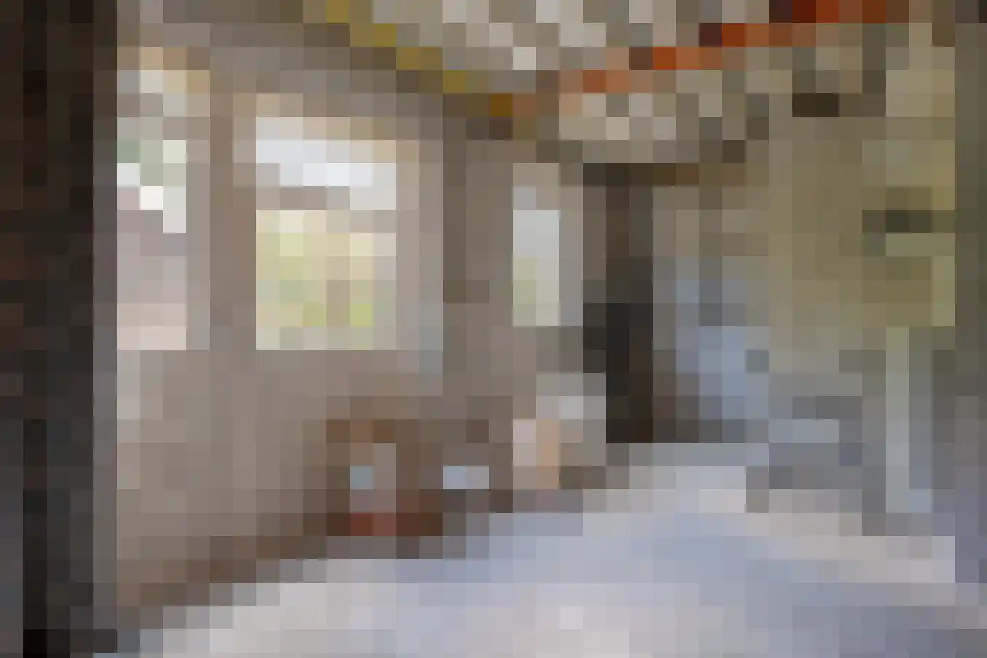Veenakkers 8 b Gieterveen thumbnail 62