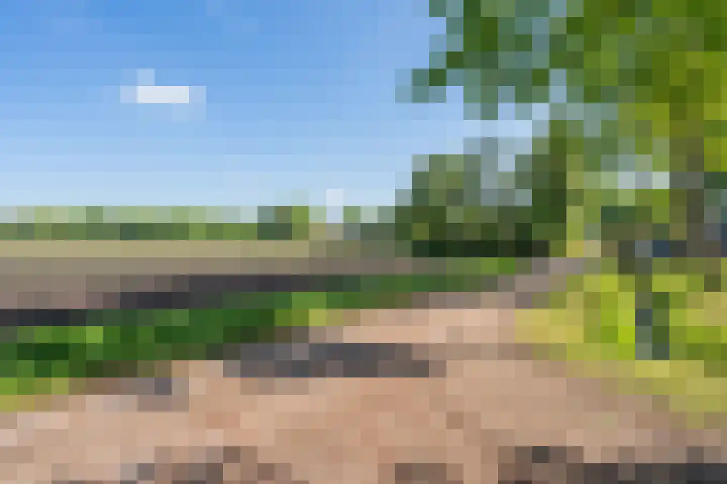 Veenakkers Gieterveen thumbnail 5