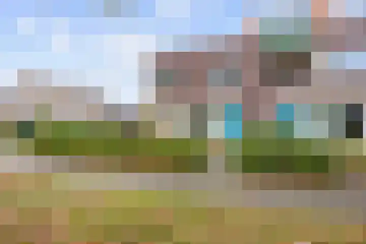Veenbaas 7 Haulerwijk thumbnail 27