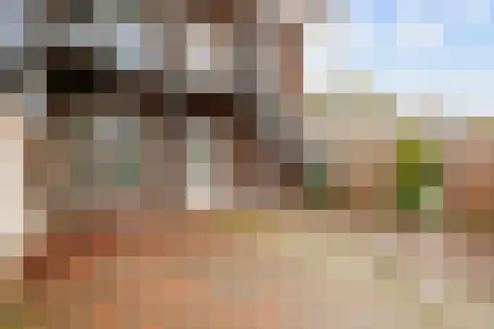 Veenbaas 7 Haulerwijk thumbnail 31
