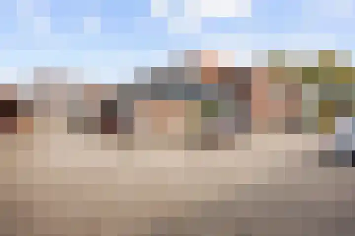 Veenbaas 7 Haulerwijk thumbnail 35