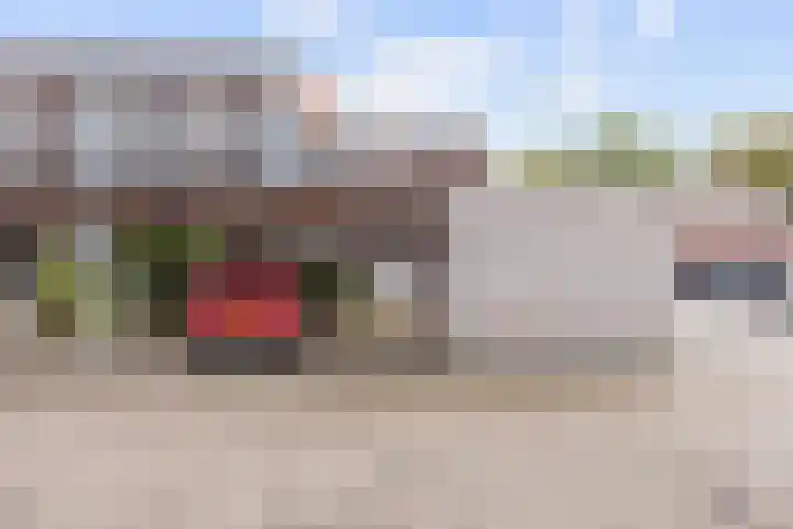 Veenbaas 7 Haulerwijk thumbnail 5