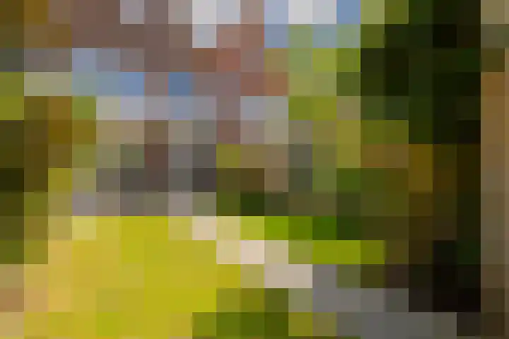 Veenbergplein 27 Haarlem thumbnail 25