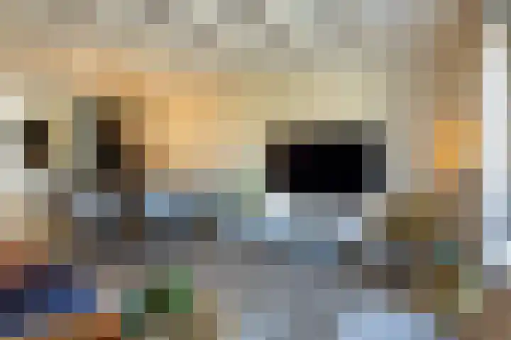 Veenbes 16 Gendringen thumbnail 11