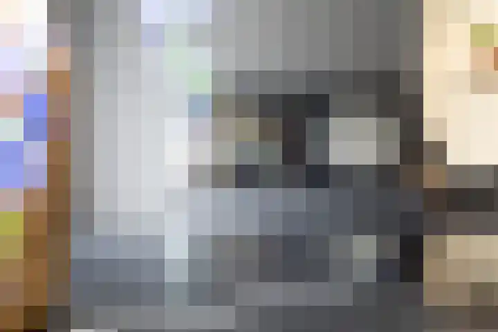 Veenbes 16 Gendringen thumbnail 18