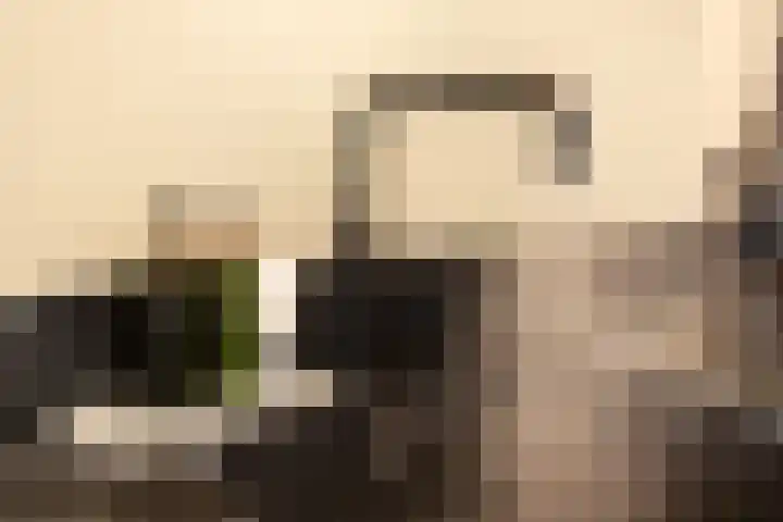 Veenbes 16 Gendringen thumbnail 22