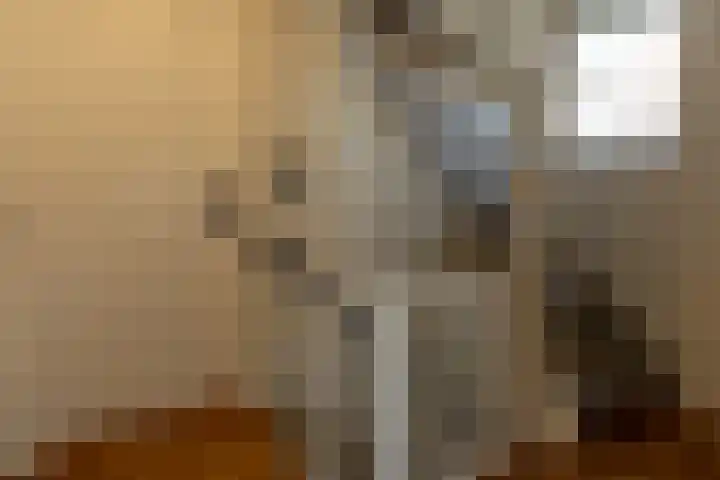Veenbes 16 Gendringen thumbnail 24
