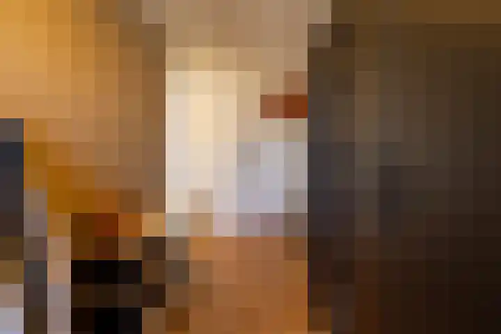 Veenbes 16 Gendringen thumbnail 28