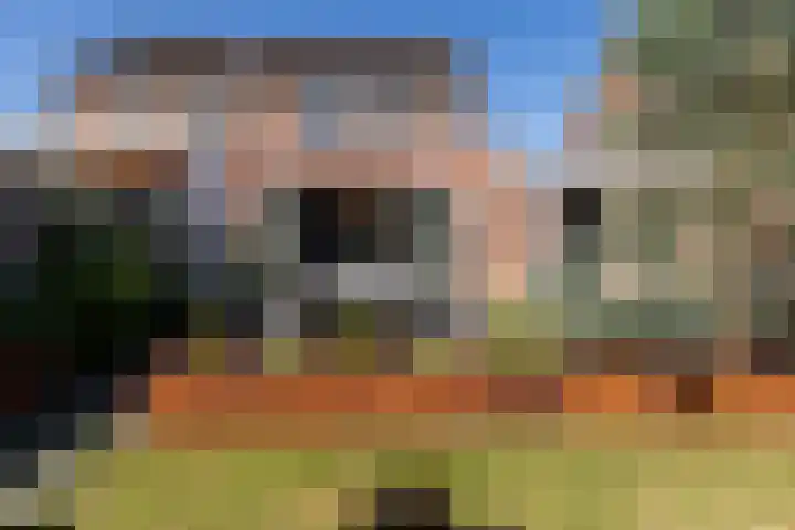 Veenbes 16 Gendringen thumbnail 37