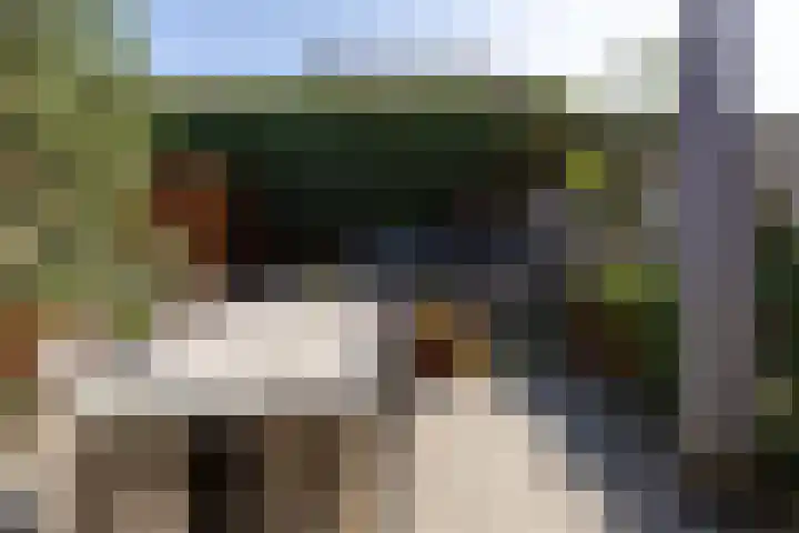 Veenbes 16 Gendringen thumbnail 38