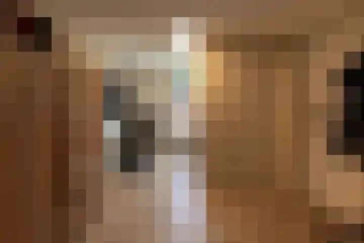 Veenbes 16 Gendringen thumbnail 40