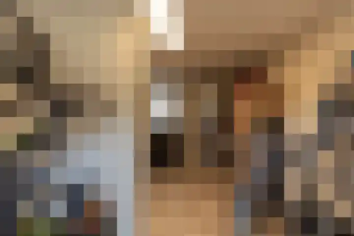 Veenbes 16 Gendringen thumbnail 41