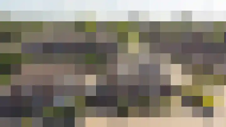 Veenbes 16 Gendringen thumbnail 42