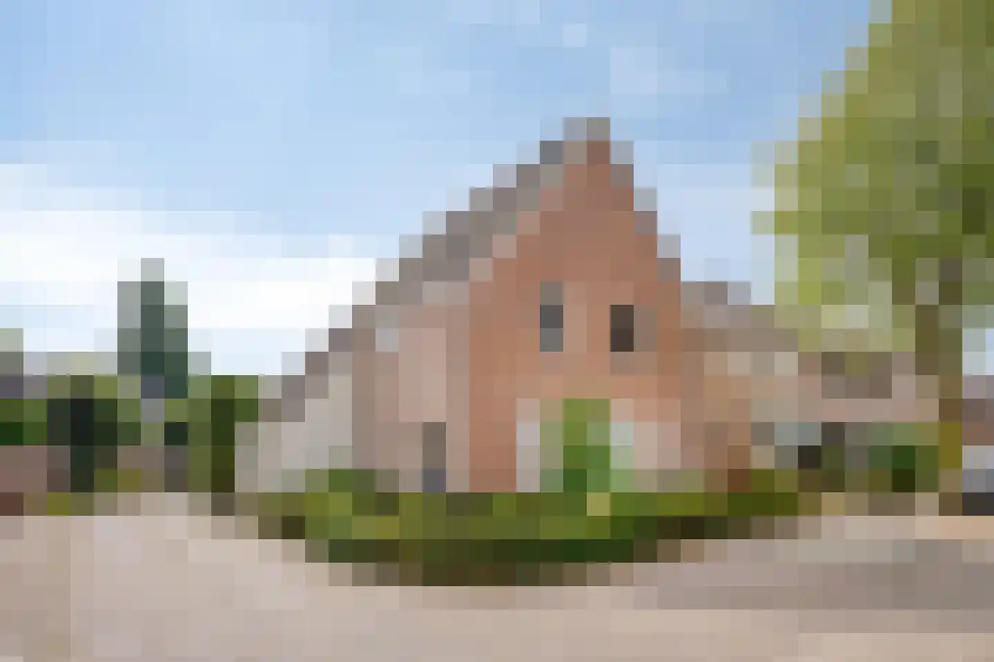 Veenbes 20 Oost West en Middelbeers