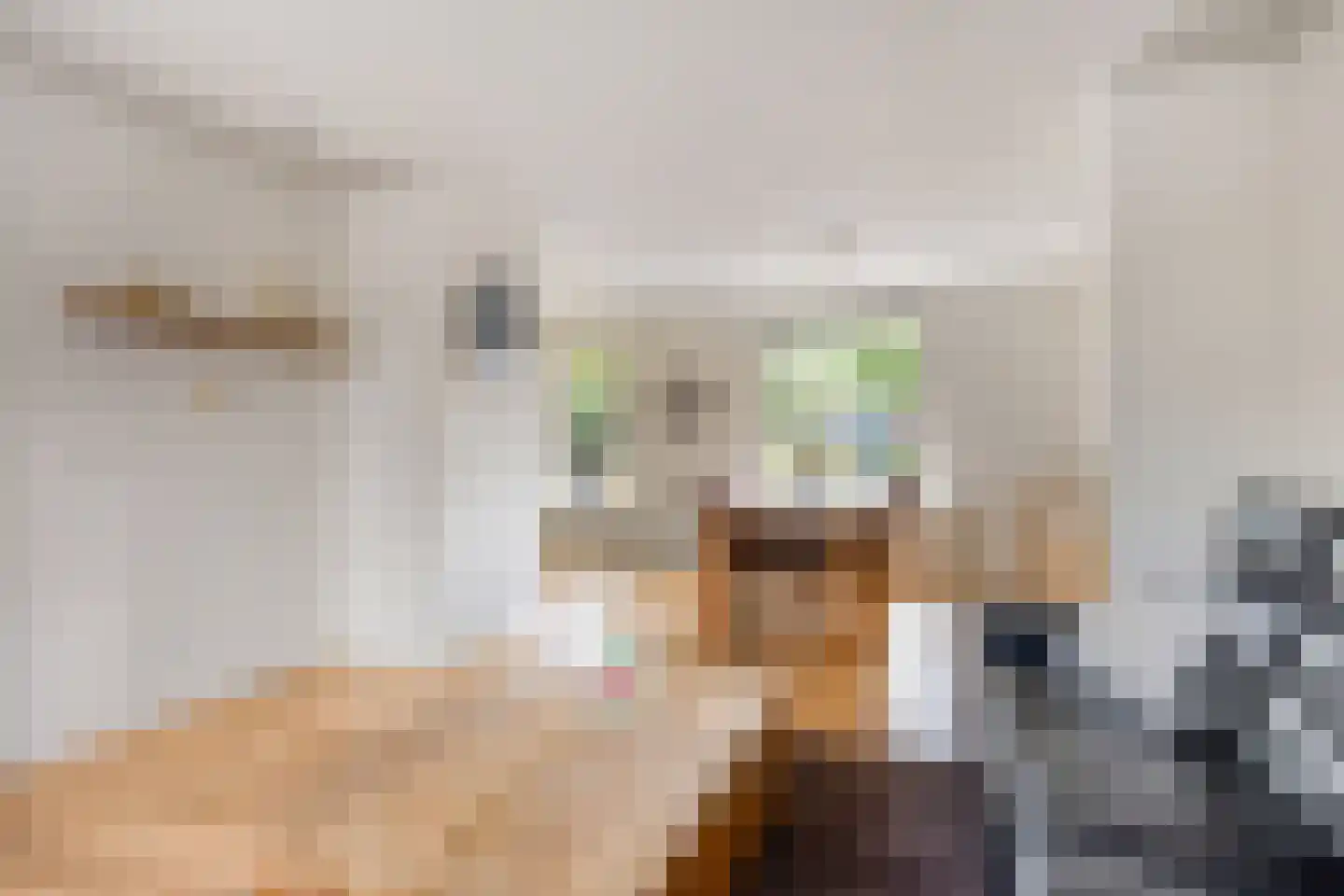 Veenbes 20 Oost West en Middelbeers thumbnail 13
