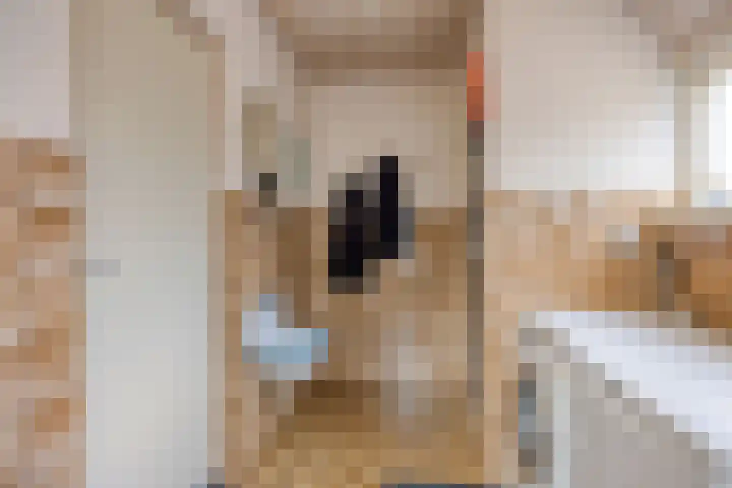 Veenbes 20 Oost West en Middelbeers thumbnail 21