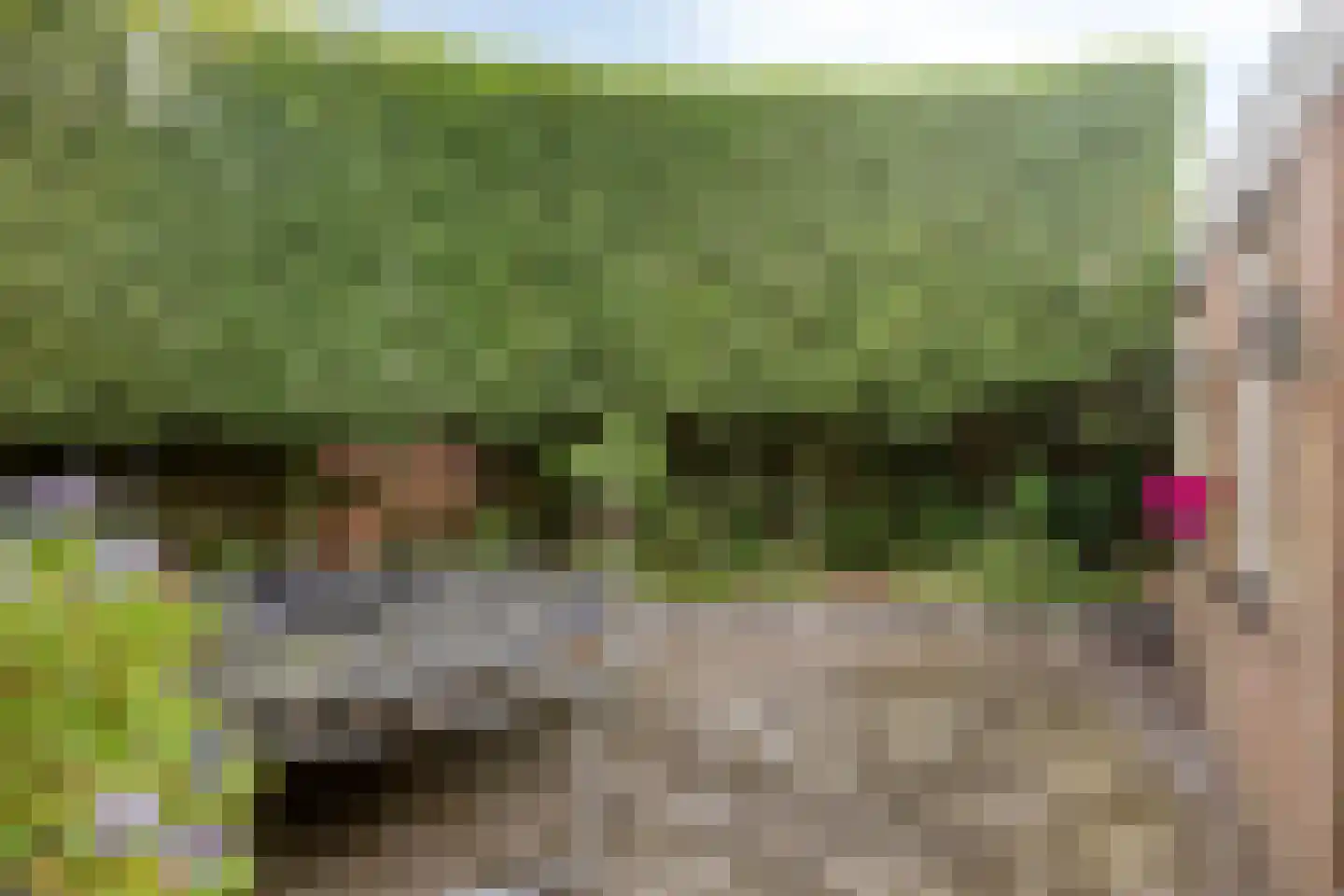 Veenbes 20 Oost West en Middelbeers thumbnail 34