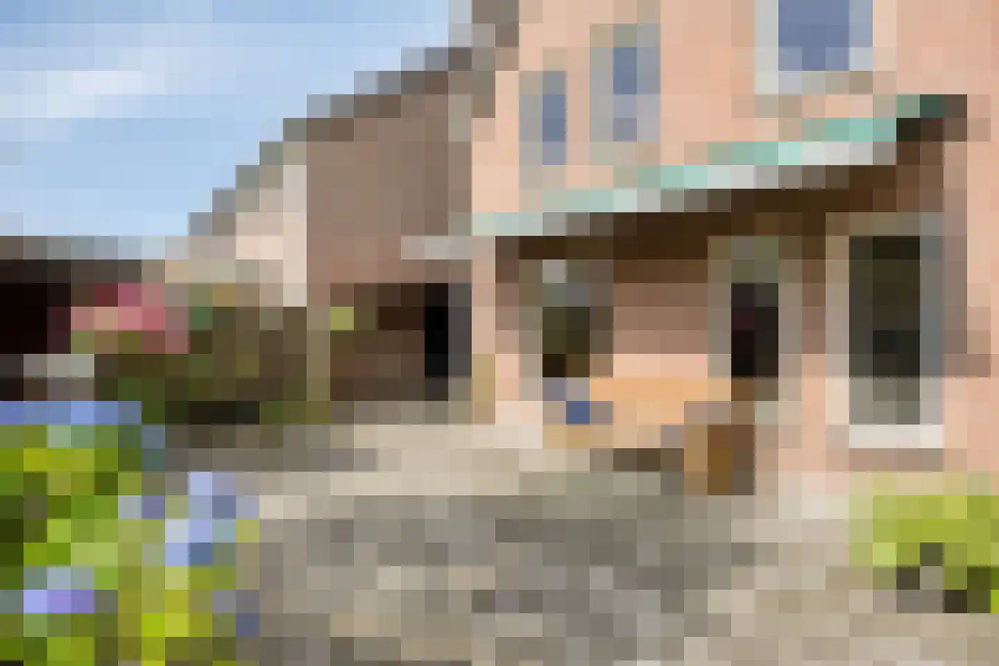 Veenbes 20 Oost West en Middelbeers thumbnail 35