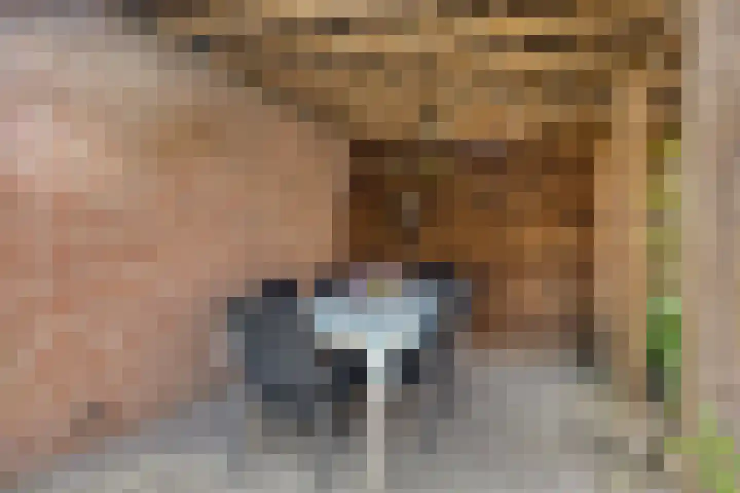Veenbes 20 Oost West en Middelbeers thumbnail 36