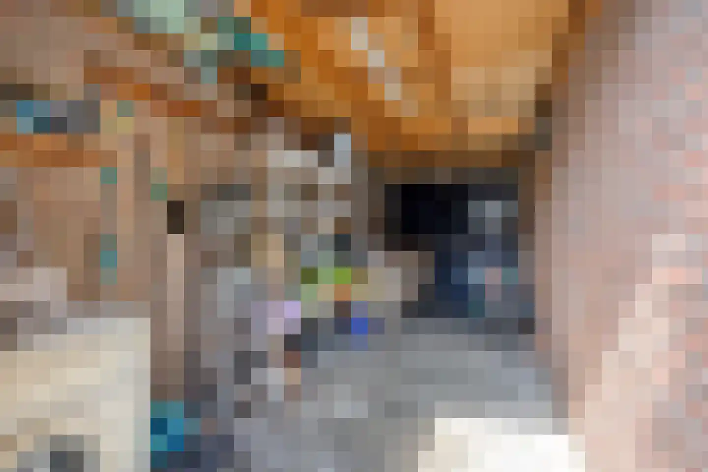 Veenbes 20 Oost West en Middelbeers thumbnail 41