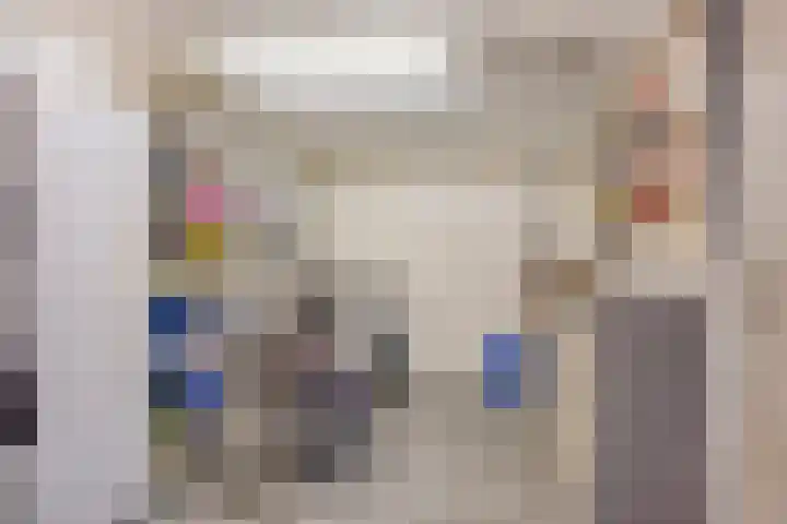 Veenbes 26 Gendringen thumbnail 19