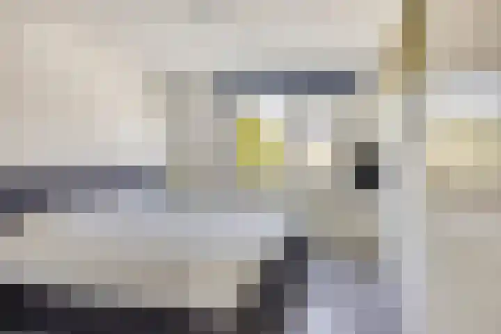 Veenbes 26 Gendringen thumbnail 23
