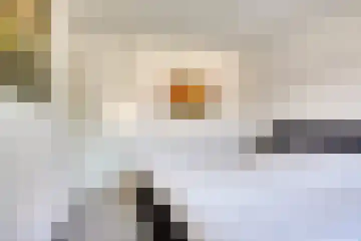 Veenbes 26 Gendringen thumbnail 26