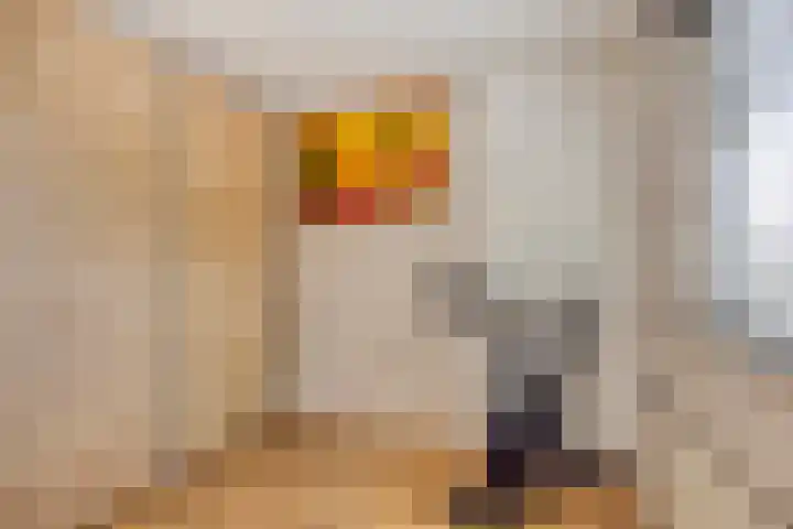 Veenbes 26 Gendringen thumbnail 27