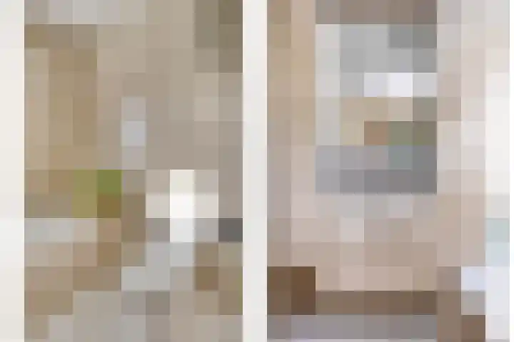 Veenbes 26 Gendringen thumbnail 30