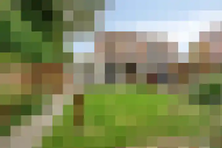 Veenbes 26 Gendringen thumbnail 33